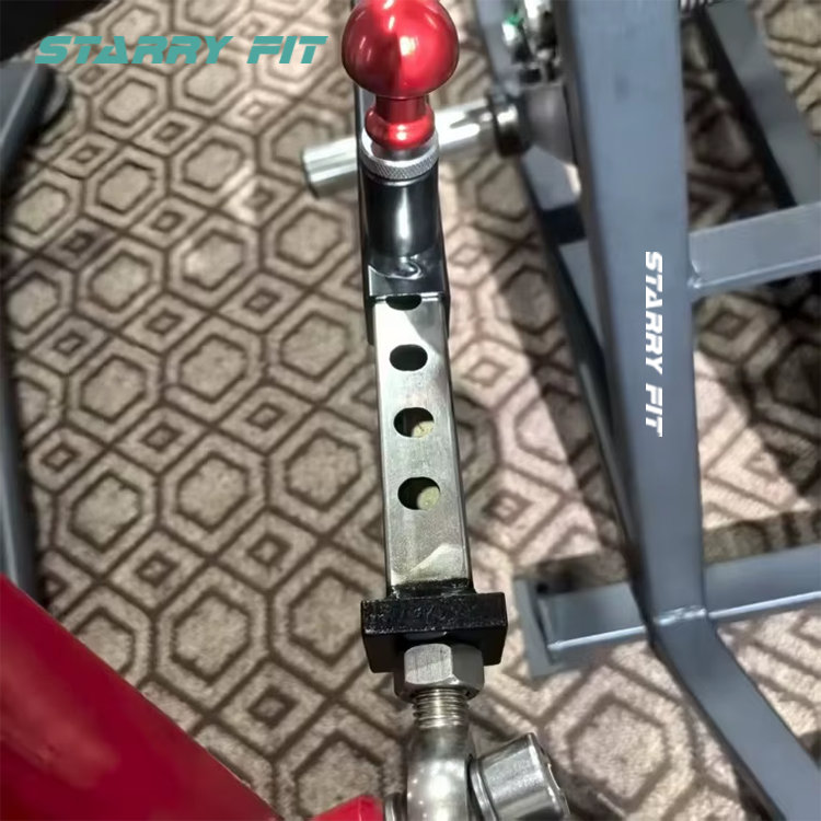 Rae Giarála<br />DJ-Flex-304 Rae Giarála<br />DJ-Flex-304