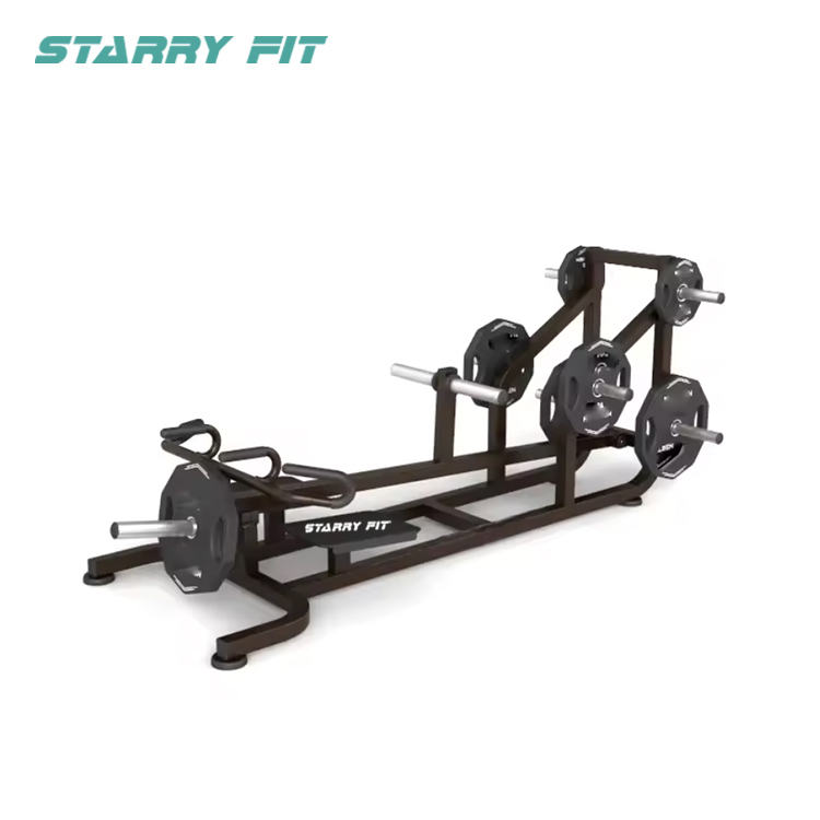 Rae T-Bara<br />NT-P-TR Rae T-Bara<br />NT-P-TR