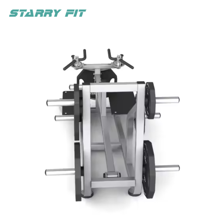 Rae T-Bara<br />NT-P-TR Rae T-Bara<br />NT-P-TR