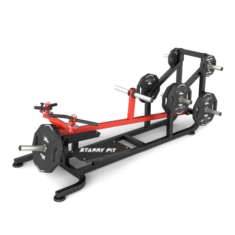 Rae T-Bara<br />NT-P-TR